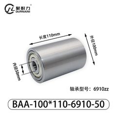 BAA-100×110-6910-50