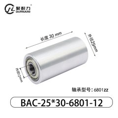 BAC-25×30-6801-12
