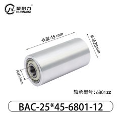 BAC-25×45-6801-12