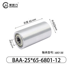 BAC-25×65-6801-12