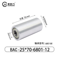 BAC-25×70-6801-12