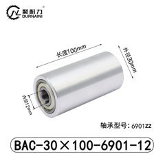 BAC-30×100-6901-12