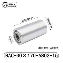 BAC-30×170-6802-15