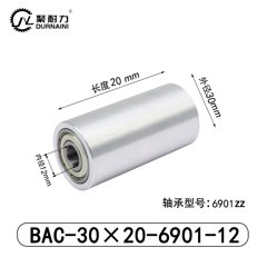BAC-30×20-6901-12