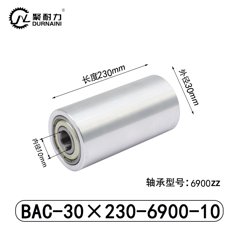 BAC-30×230-6900-10