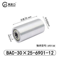 BAC-30×25-6901-12
