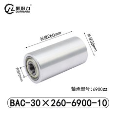 BAC-30×260-6900-10
