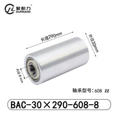 BAC-30×290-608-8