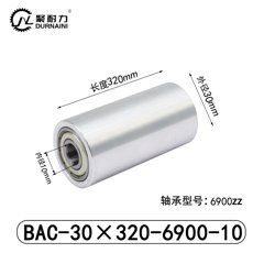 BAC-30×320-6900-10