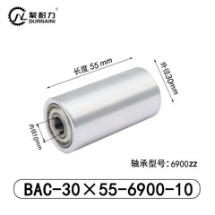 BAC-30×55-6900-10