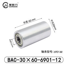 BAC-30×60-6901-12