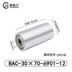 BAC-30×70-6901-12