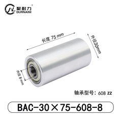 BAC-30×75-608-8