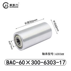 BAC-60×300-6303-17