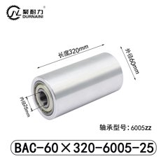 BAC-60×320-6005-25