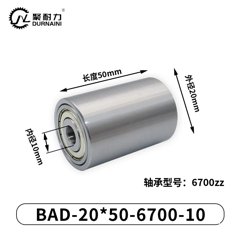BAD-20×50-6700-10