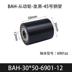 BAH-30×50-6901-12