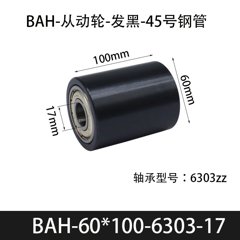 BAH-60×100-6303-17