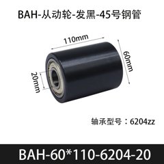 BAH-60×110-6204-20