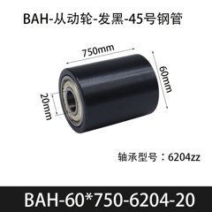 BAH-60×750-6204-20