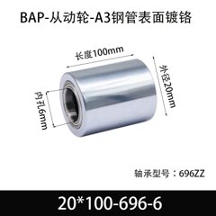 BAP-20×100-696-6