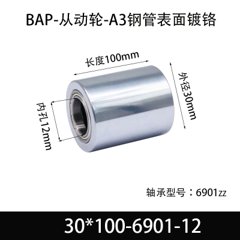 BAP-30×100-6901-12