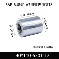 BAP-40×110-6201-12