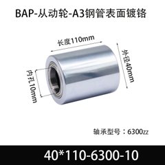 BAP-40×110-6300-10
