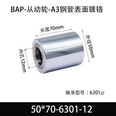 BAP-50×70-6301-12