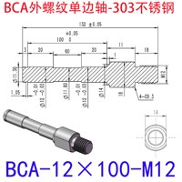 BCA-12×100-M12
