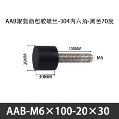 AAB-M6×100-20×30-1