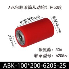 ABK-100×200-6205-25