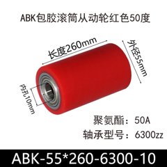 ABK-55×260-6300-10