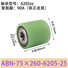 ABN-75×260-6205-25