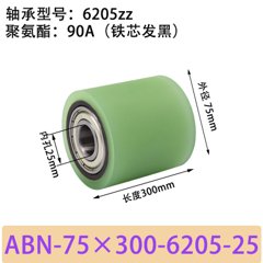 ABN-75×300-6205-25