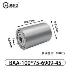 BAA-100×75-6909-45