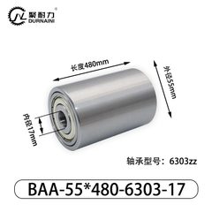 BAA-55×480-6303-17