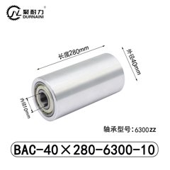 BAC-40×280-6300-10