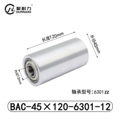 BAC-45×120-6301-12
