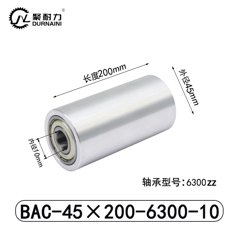 BAC-45×200-6300-10