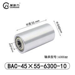 BAC-45×55-6300-10
