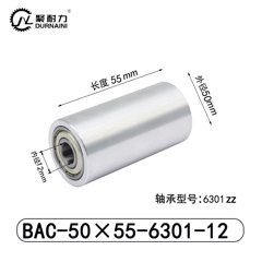 BAC-50×55-6301-12