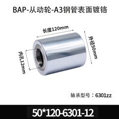 BAP-50×120-6301-12