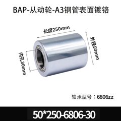 BAP-50×250-6806-30